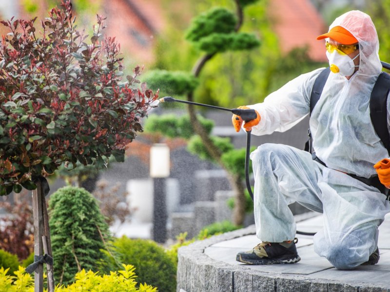 Altıntaş Haşere İlaçlama